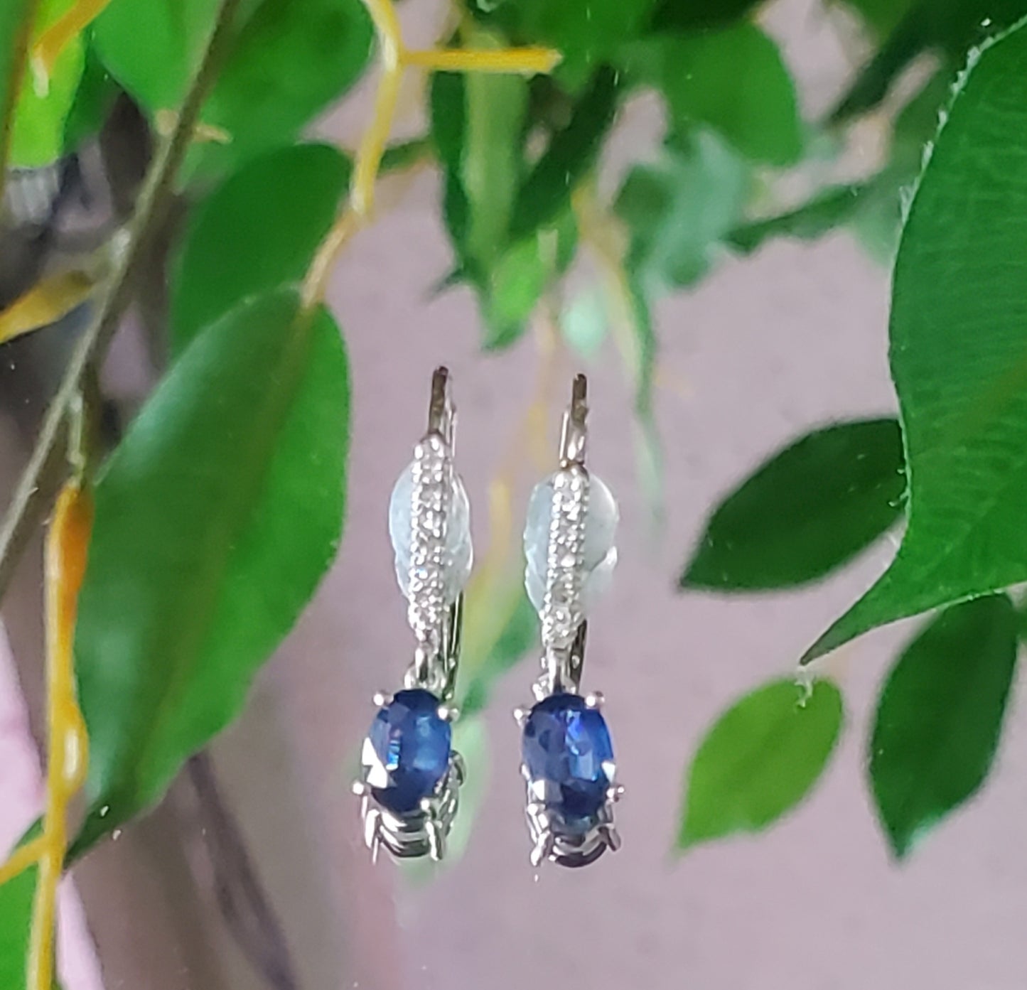 14K White Gold Sapphire Dangle Earrings